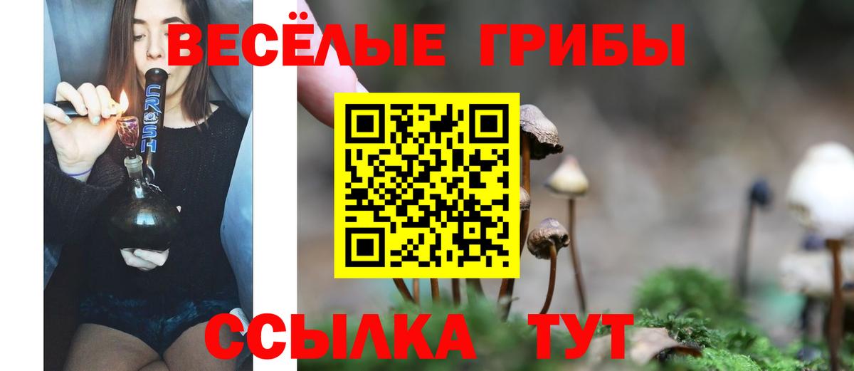 Галлюциногенные грибы MAGIC MUSHROOMS Лесосибирск
